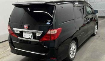 
									Toyota Alphard full								